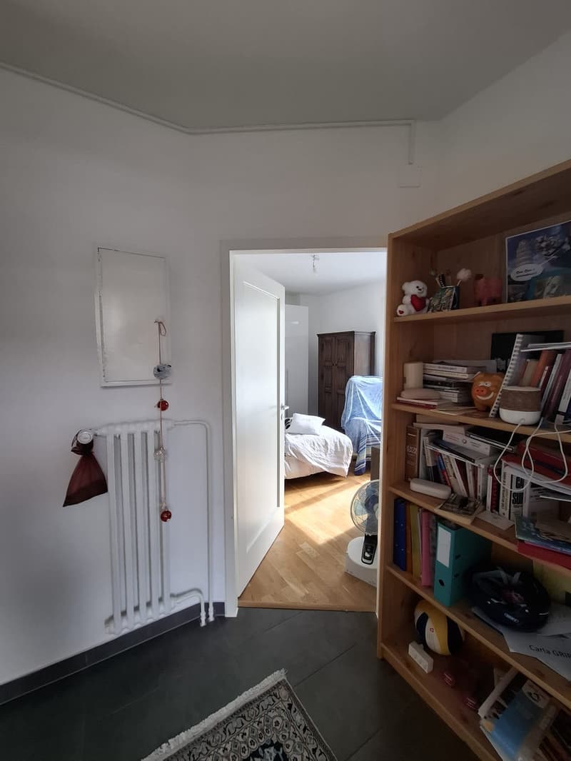 Charmant appartement de 2 pièces avec balcon au coeur des Eaux-vives en dernier étage (9)