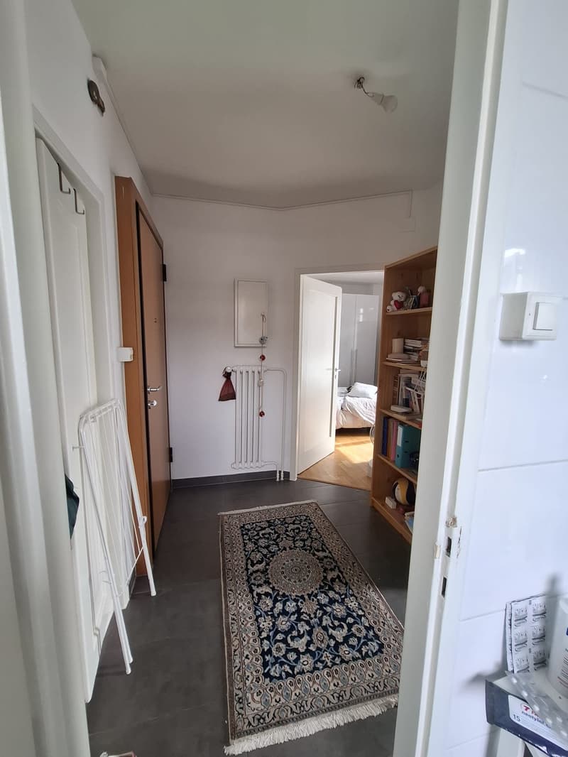 Charmant appartement de 2 pièces avec balcon au coeur des Eaux-vives en dernier étage (6)