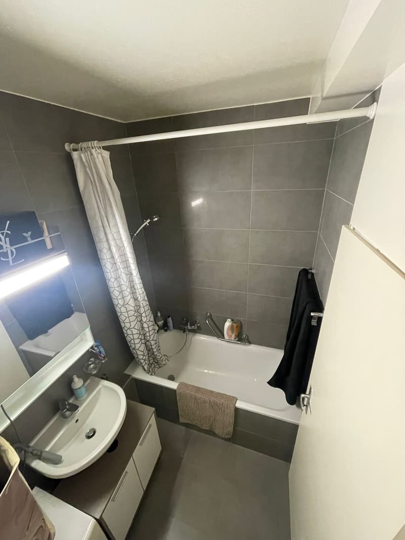 Appartement 3 pièces en étage élevé avec balcon à Meyrin (4)