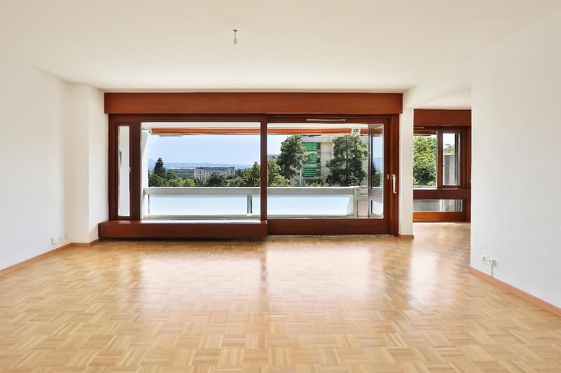 Charmant appartement de 3 pièces à Genève (2)
