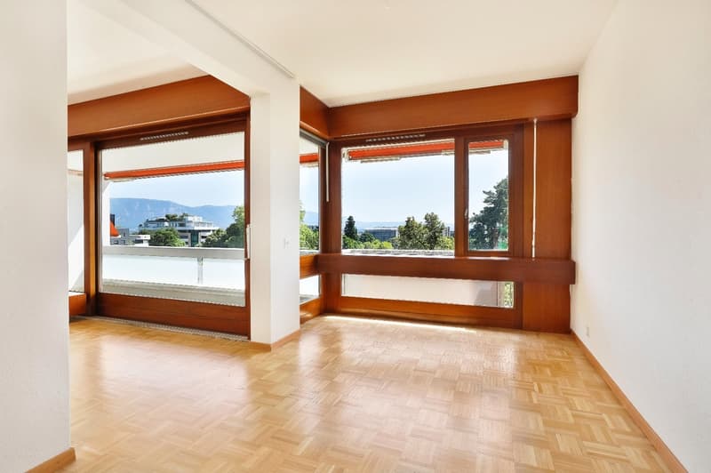Charmant appartement de 3 pièces à Genève (1)