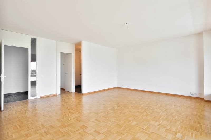 Charmant appartement de 3 pièces à Genève (7)