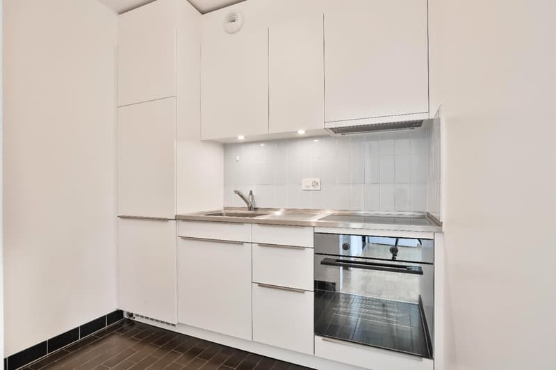 Charmant appartement de 3 pièces à Genève (3)