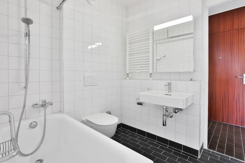 Charmant appartement de 3 pièces à Genève (6)