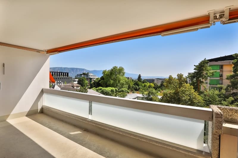 Charmant appartement de 3 pièces à Genève (4)