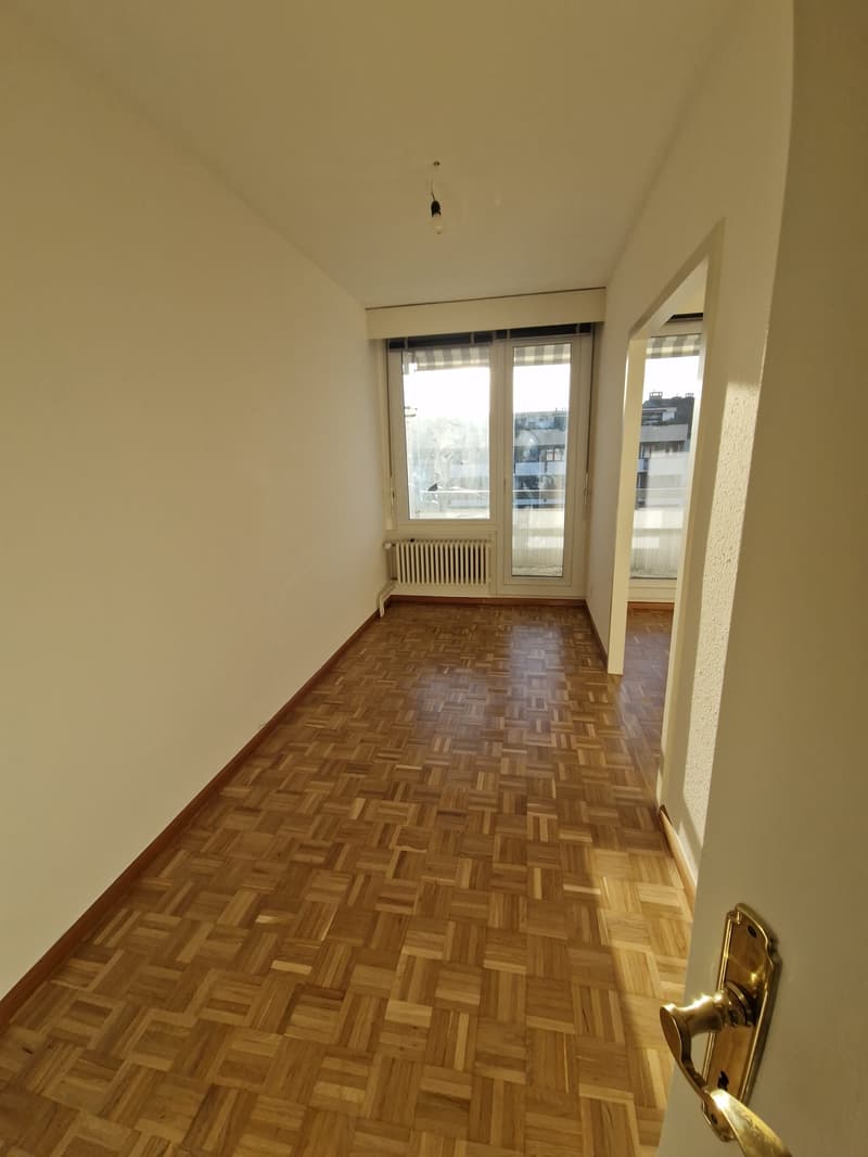 Superbe duplex de 6 Pièces au dernier étage dans le quartier de Plainpalais (9)
