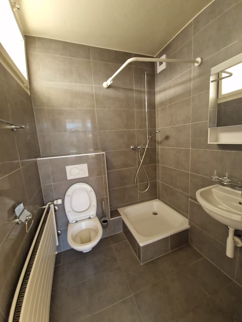 Superbe duplex de 6 Pièces au dernier étage dans le quartier de Plainpalais (15)