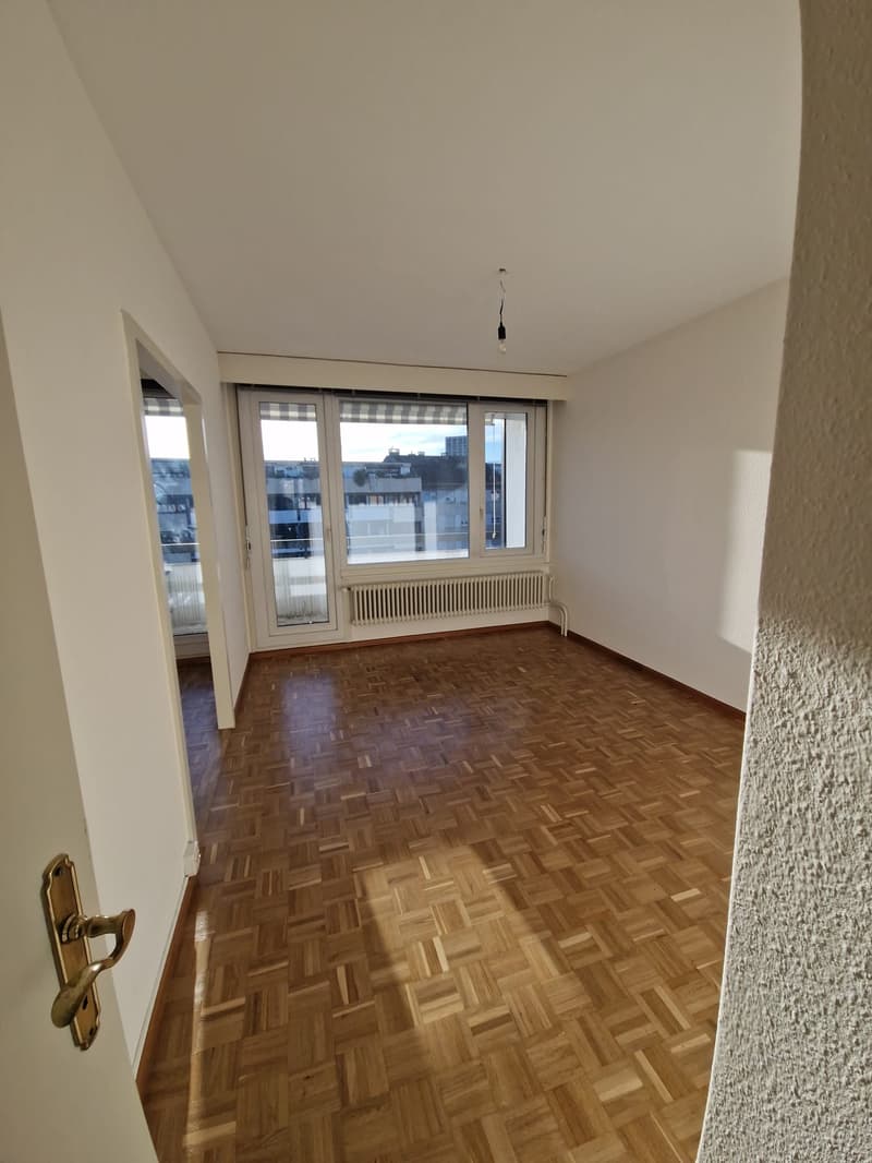 Superbe duplex de 6 Pièces au dernier étage dans le quartier de Plainpalais (8)