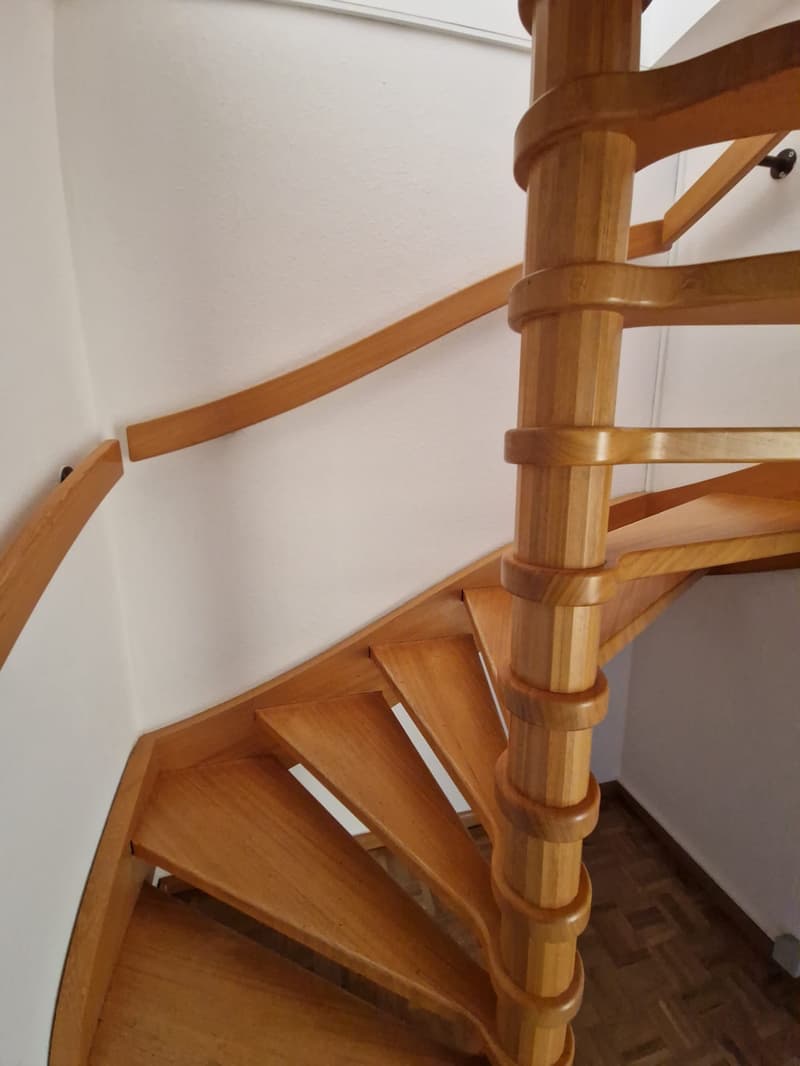 Superbe duplex de 6 Pièces au dernier étage dans le quartier de Plainpalais (2)