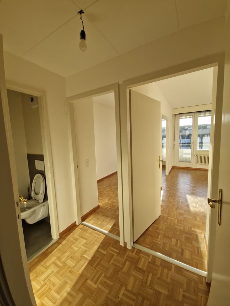 Superbe duplex de 6 Pièces au dernier étage dans le quartier de Plainpalais (6)