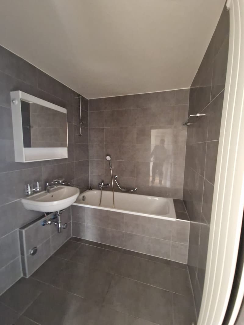 Superbe duplex de 6 Pièces au dernier étage dans le quartier de Plainpalais (10)