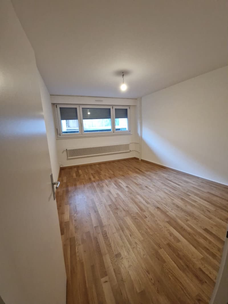 Spacieux appartement de 3 Pièces au coeur du quartier de Plainpalais (9)
