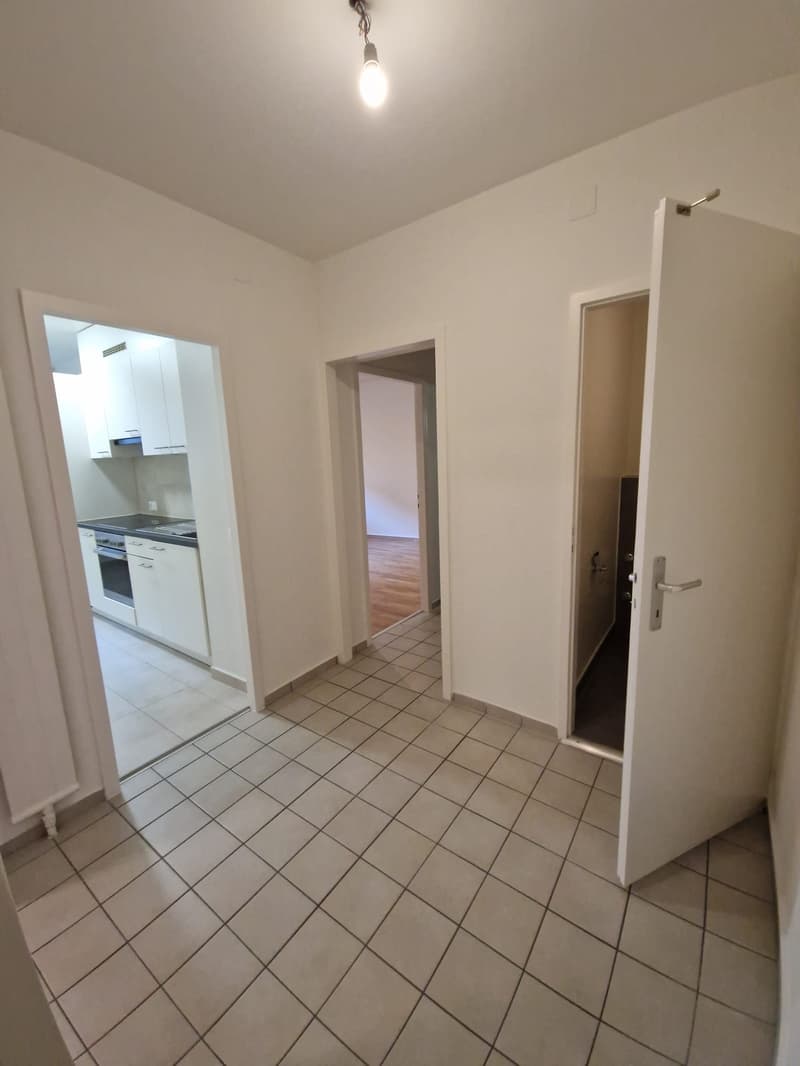 Spacieux appartement de 3 Pièces au coeur du quartier de Plainpalais (4)