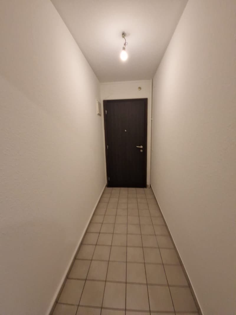 Spacieux appartement de 3 Pièces au coeur du quartier de Plainpalais (3)