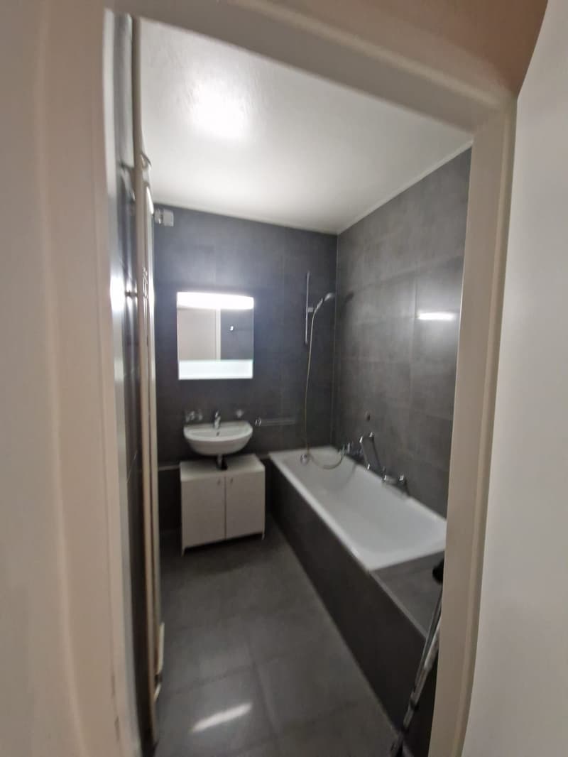Spacieux appartement de 3 Pièces au coeur du quartier de Plainpalais (6)