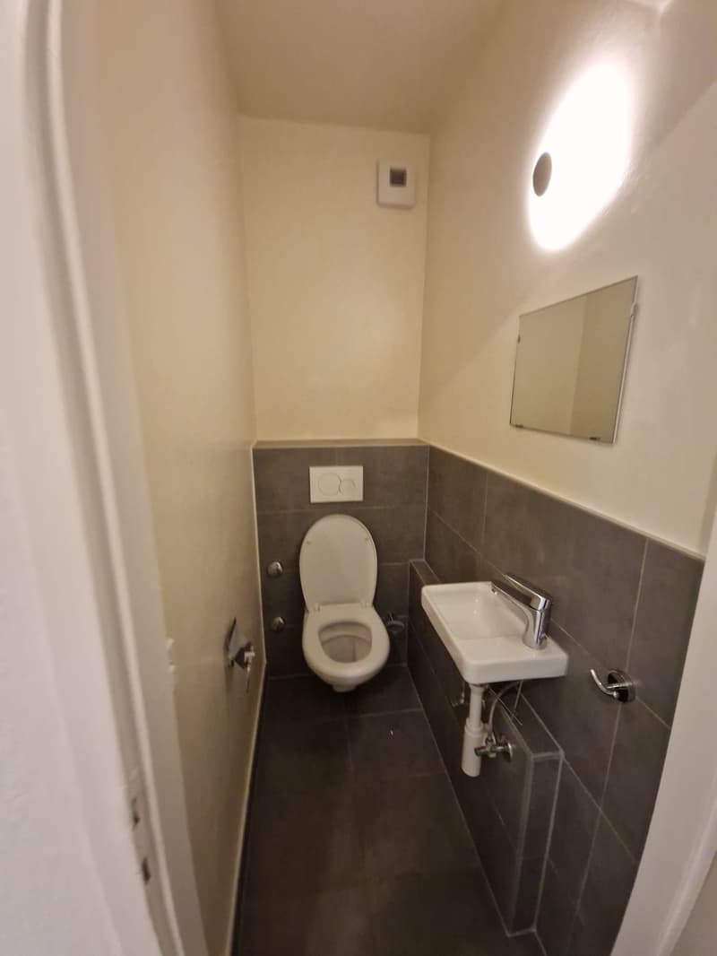 Spacieux appartement de 3 Pièces au coeur du quartier de Plainpalais (7)
