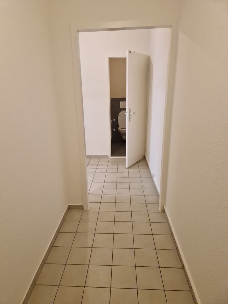 Spacieux appartement de 3 Pièces au coeur du quartier de Plainpalais (2)