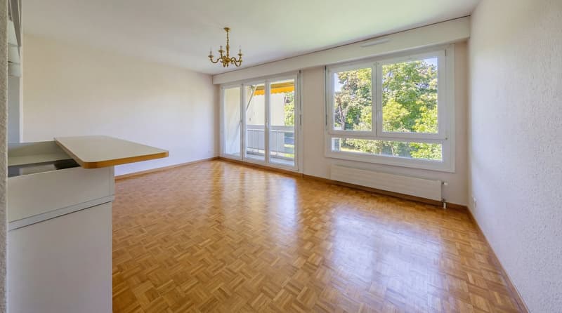 Charmant appartement de 3 pièces à Thônex – Calme et lumineux (2)