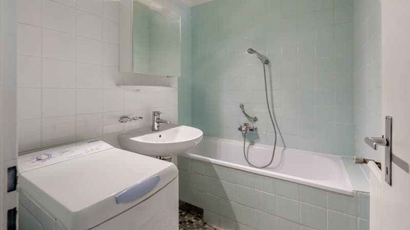 Charmant appartement de 3 pièces à Thônex – Calme et lumineux (10)