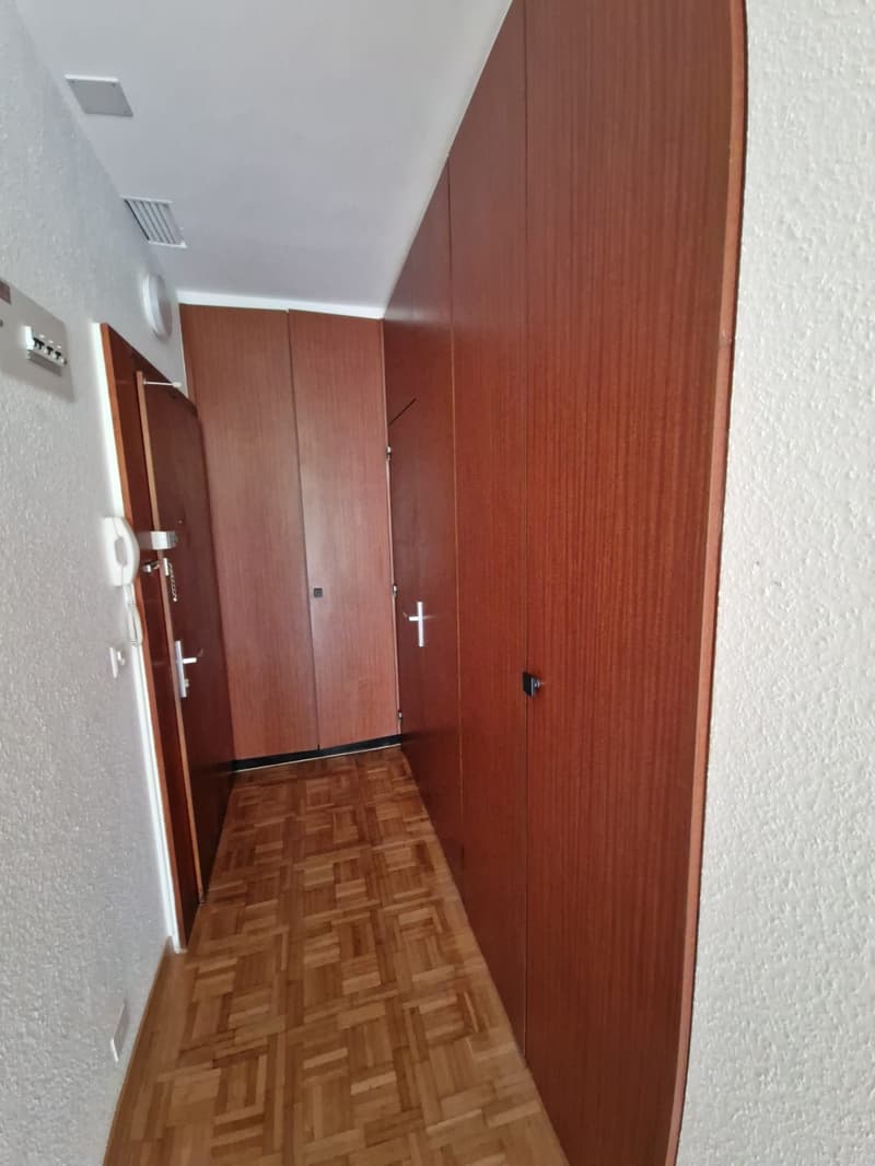 Charmant studio en plein coeur de Genève dans le quartier de la jonction / plainpalais (4)