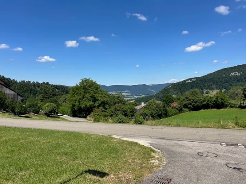 The image shows a scenic rural landscape with rolling hills, lush green trees, and a clear blue sky with fluffy white clouds. There is a paved road or path in the foreground, surrounded by grassy fields. The background features mountains or hills in the d