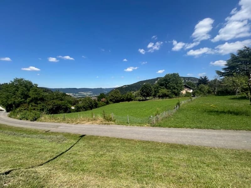 The image shows a scenic rural landscape with rolling hills, green meadows, and scattered trees. In the distance, there are mountains visible under a blue sky with fluffy white clouds. The foreground features a dirt road or path leading through the grassy