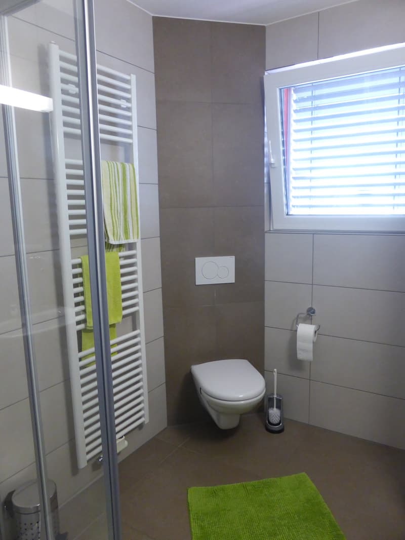bathroom, glass shower door, tiled wall, towel rack, toilet, bidet, green rug, toilet paper