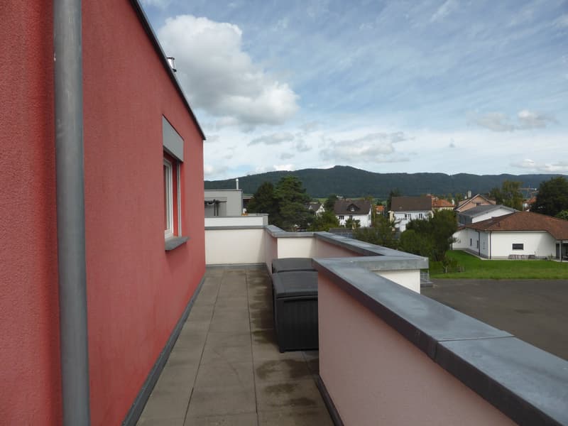 Terrace with red wall, two black bins, concrete floor, fenced edge, view of green field and houses
