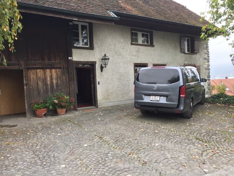 Brick house with garage, wooden doors, plants in front, gray van parked