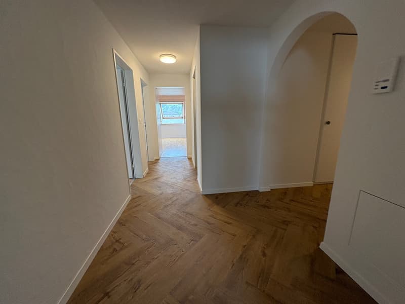 Renovierte 4.5-Zimmer-Dachwohnung mit Cheminée, Lift und Weitblick (14)