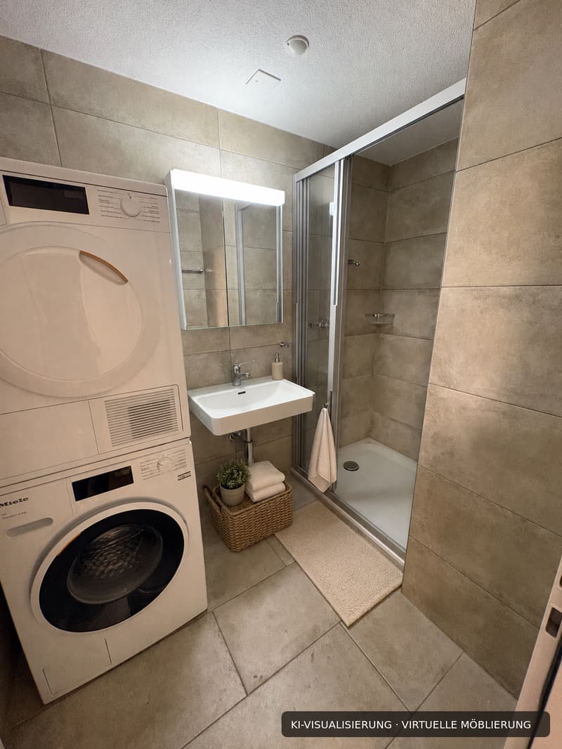 Renovierte 4.5-Zimmer-Dachwohnung mit Cheminée, Lift und Weitblick (11)