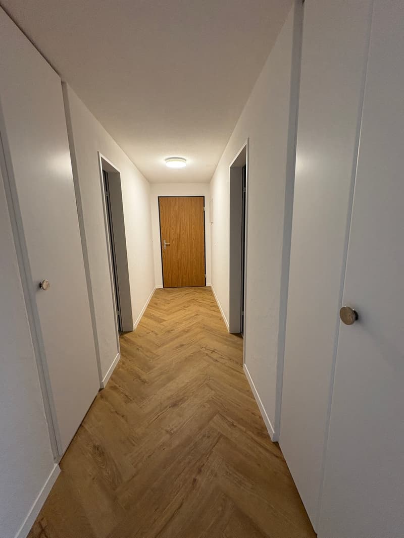 Renovierte 4.5-Zimmer-Dachwohnung mit Cheminée, Lift und Weitblick (16)