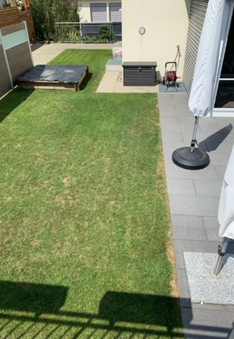 large grassy area, wooden fence, patio, and an umbrella