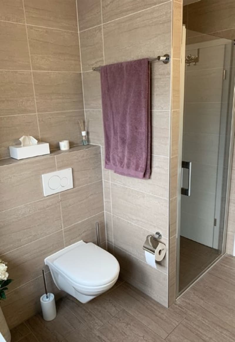 A bathroom with a walk-in shower, a toilet, and a towel hanging on the wall.