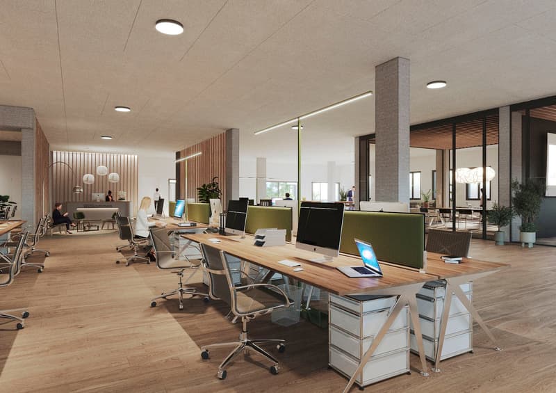 modern office with wooden floor, large open space, long desks with chairs, office chairs, lamps, monitor, keyboards, desks with drawers, green office partitions, potted plants