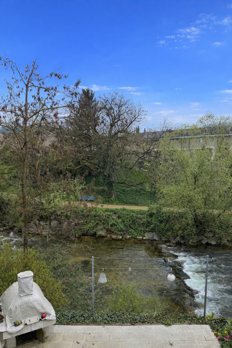 covered outdoor oven, river, trees, bushes, clear sky