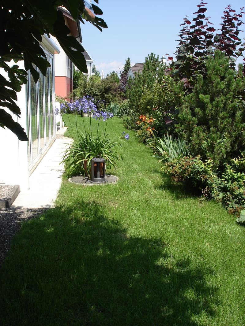 Charming 2.5-room ground-floor apartment in Pratteln – available from October 2026 (7)
