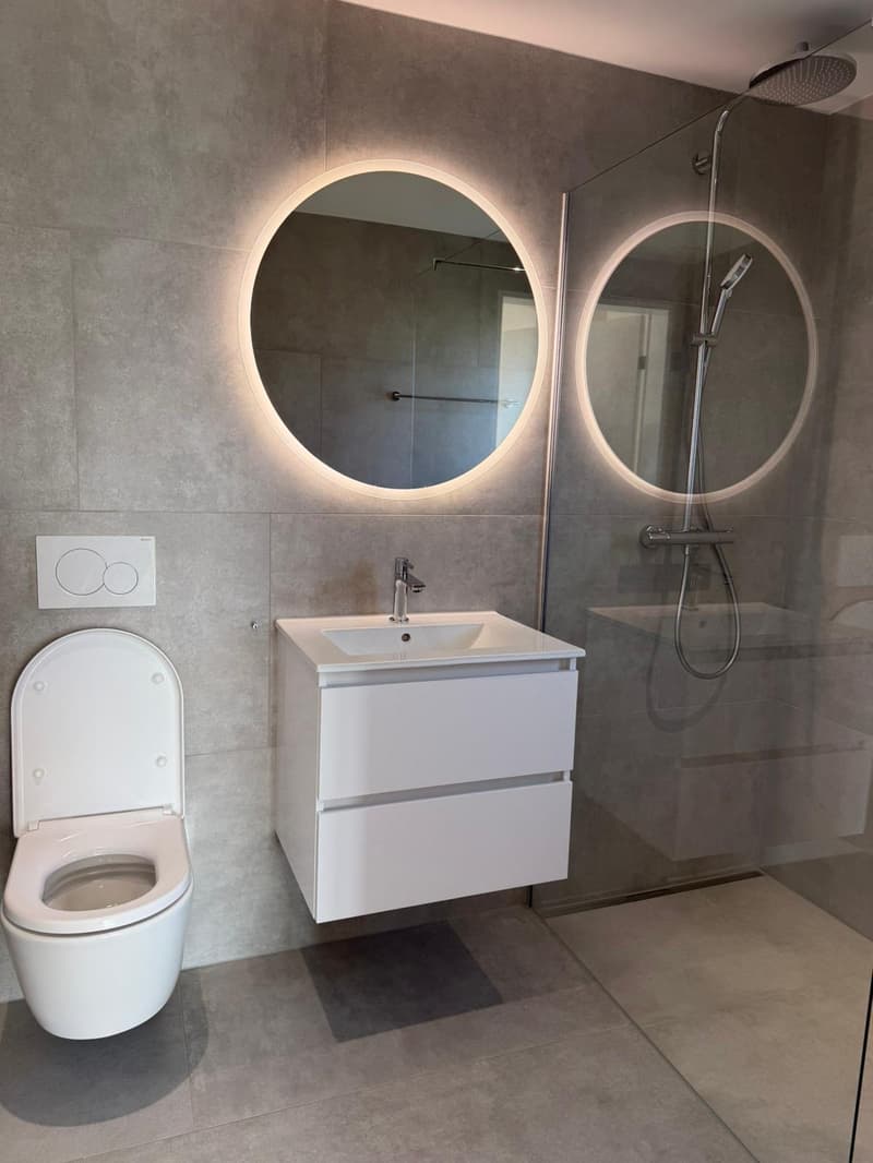 modern bathroom with white toilet, white sink, glass shower enclosure, round mirrors, and a shower head