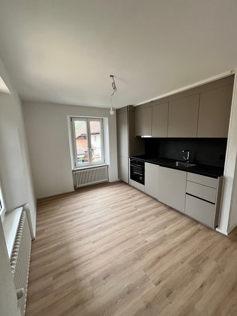Moderna, completamente ristrutturata & con grande terrazza – appartamento 4.5 locali a Mellikon – disponibile per occupazione immediata (3)