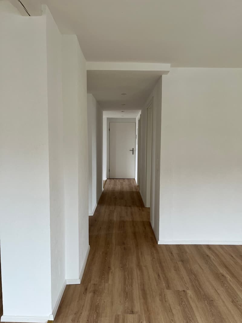 Moderna, completamente ristrutturata & con grande terrazza – appartamento 4.5 locali a Mellikon – disponibile per occupazione immediata (4)