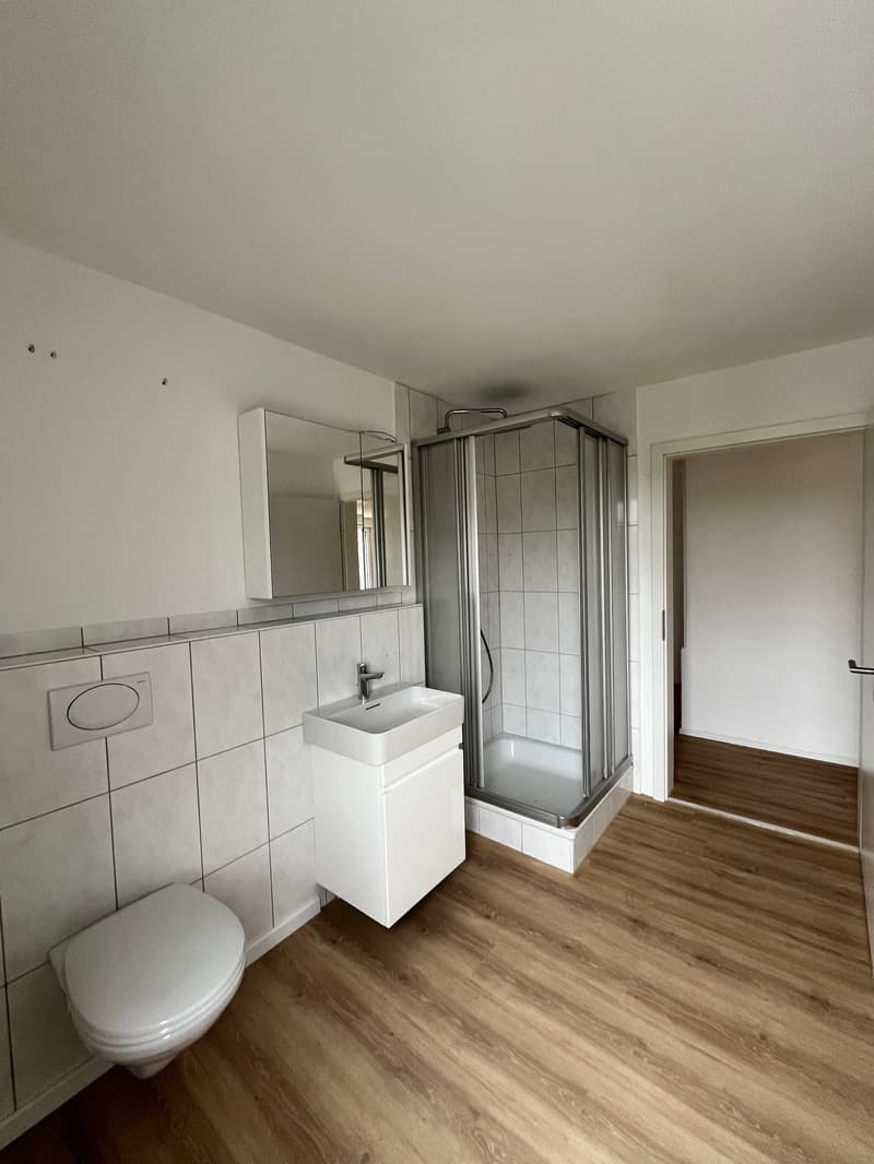Moderna, completamente ristrutturata & con grande terrazza – appartamento 4.5 locali a Mellikon – disponibile per occupazione immediata (21)