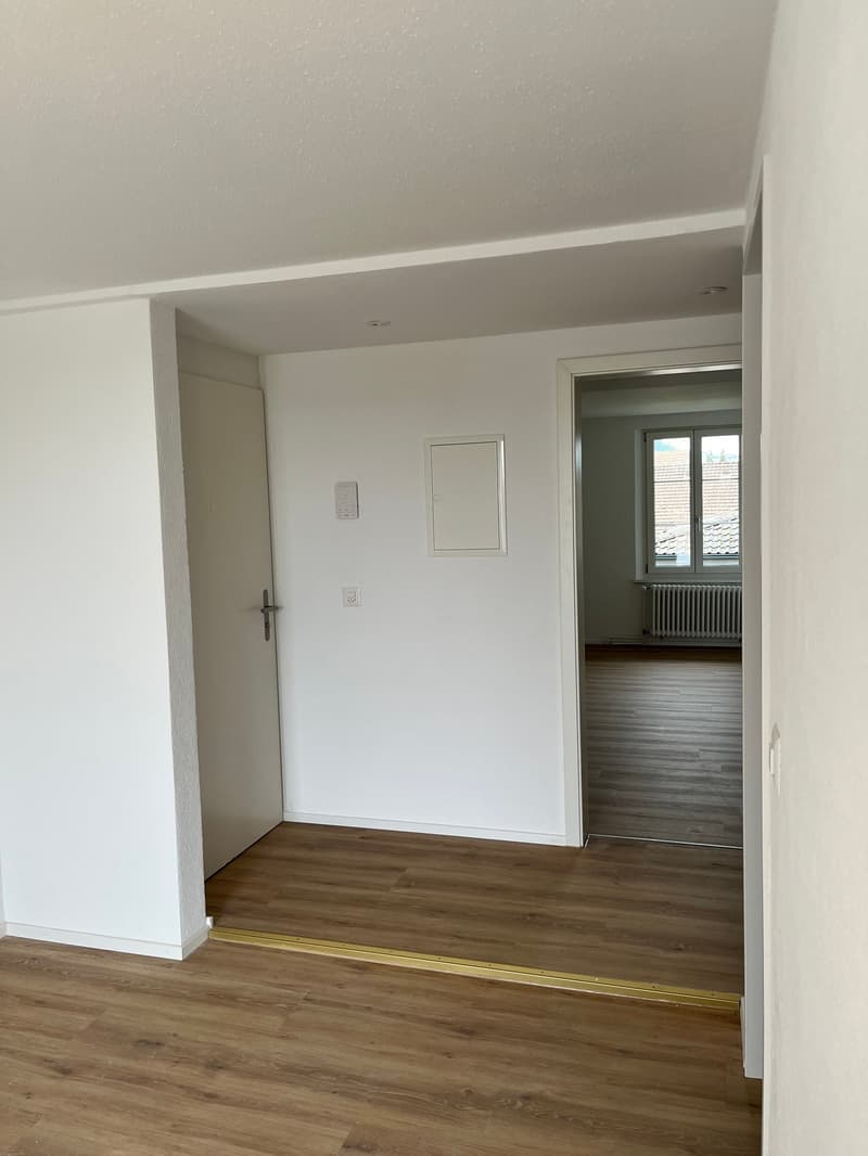 Moderna, completamente ristrutturata & con grande terrazza – appartamento 4.5 locali a Mellikon – disponibile per occupazione immediata (19)