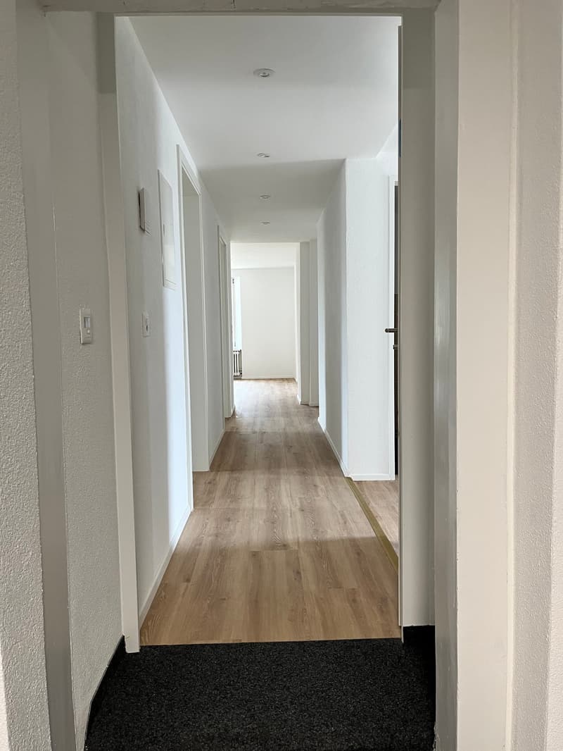 Moderna, completamente ristrutturata & con grande terrazza – appartamento 4.5 locali a Mellikon – disponibile per occupazione immediata (5)