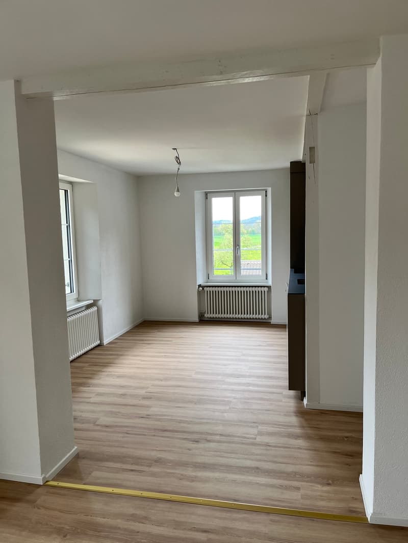 Moderna, completamente ristrutturata & con grande terrazza – appartamento 4.5 locali a Mellikon – disponibile per occupazione immediata (17)