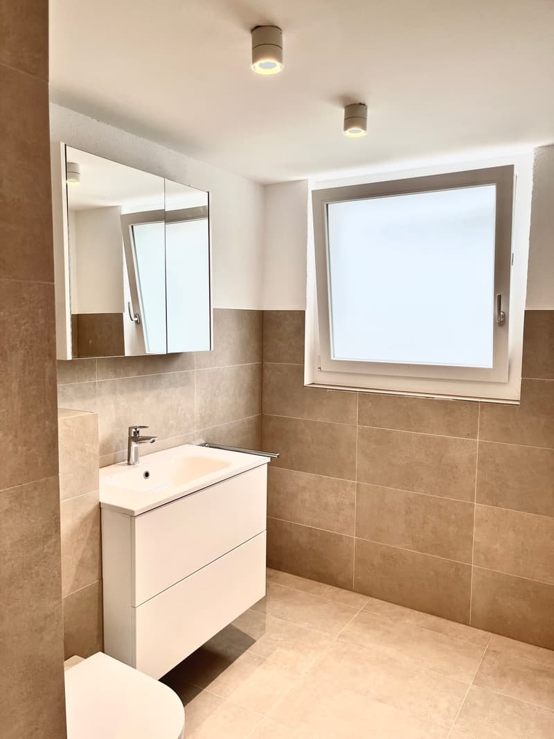 Moderna, completamente ristrutturata & con grande terrazza – appartamento 4.5 locali a Mellikon – disponibile per occupazione immediata (6)