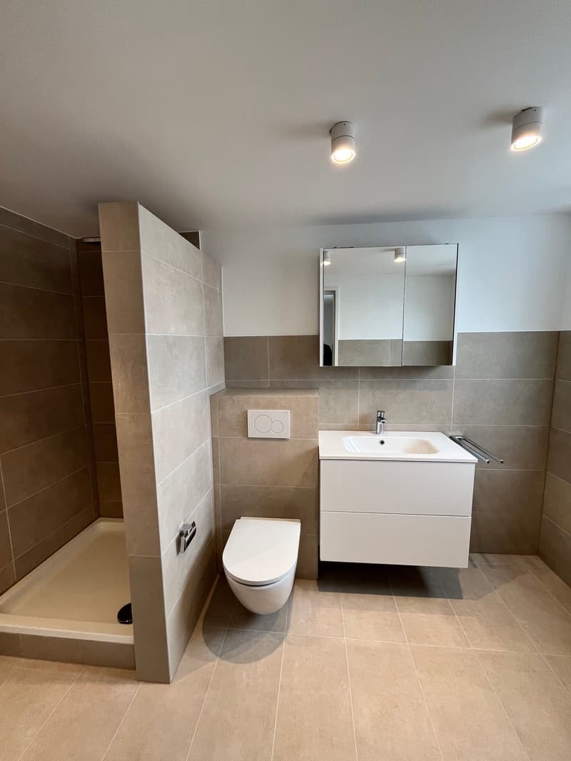 Moderna, completamente ristrutturata & con grande terrazza – appartamento 4.5 locali a Mellikon – disponibile per occupazione immediata (8)
