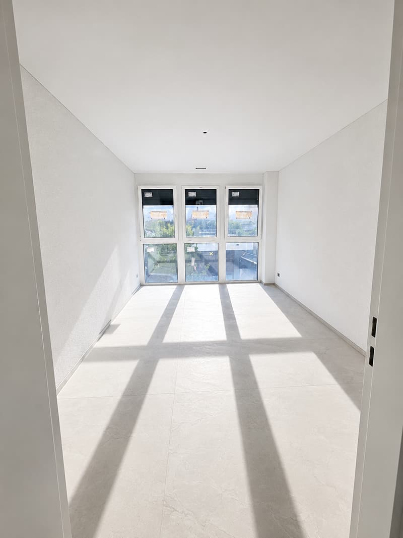 Luxury pure – Exclusive 4.5-room terrace apartment in Rothrist (3)