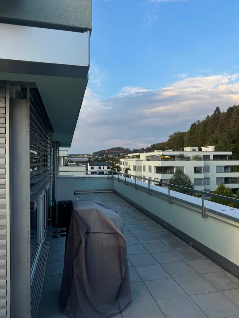 Helle 3.5-Zimmer-Attikawohnung mit Terrasse in Würenlingen – sofort verfügbar! (9)