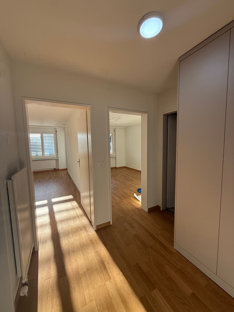 Erstvermietung nach Sanierung – moderne 2.5-Zimmer-Wohnung mit Balkon (4)