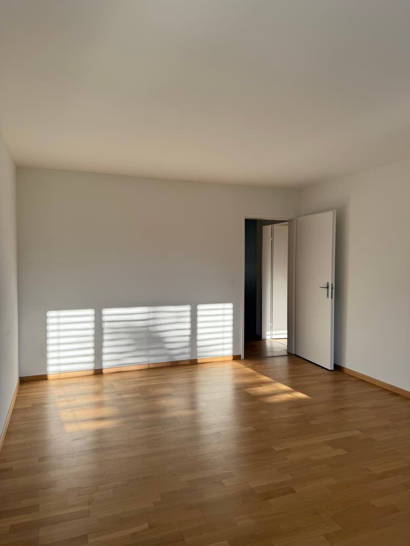 Erstvermietung nach Sanierung – grosszügige 4.5-Zimmer-Wohnung mit Balkon (2)